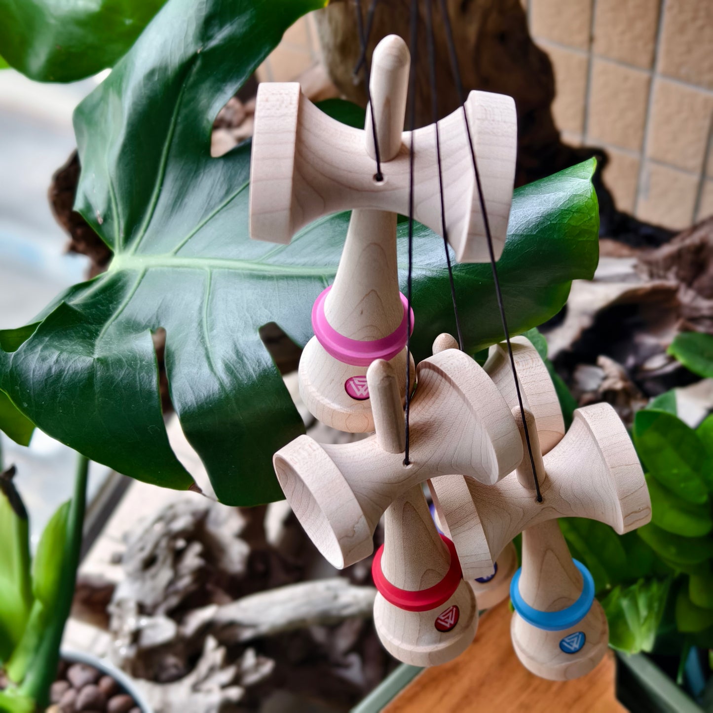 Winner Kendama color shark shape ken only S3 new Shape